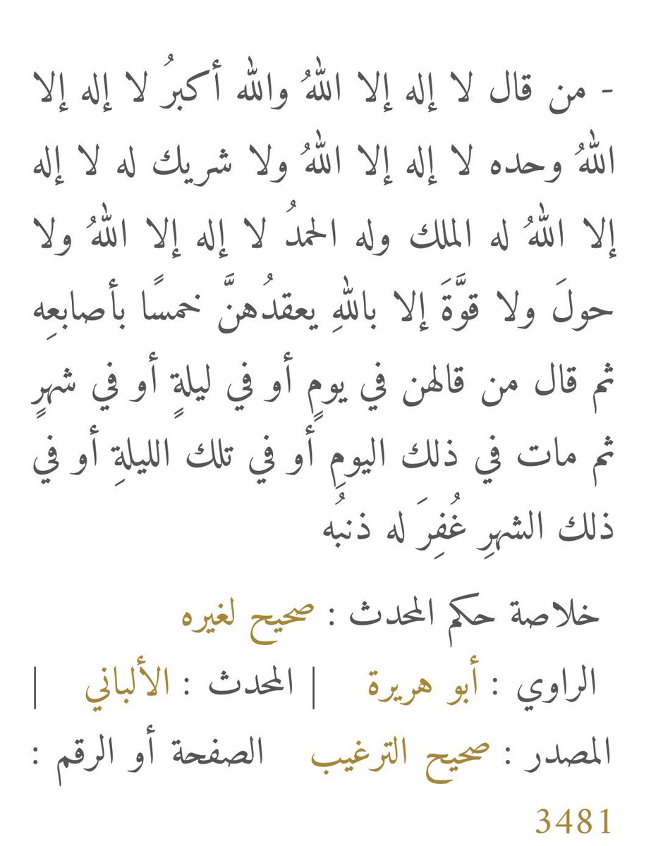 خُلود | 👩🏻💻 tweet media