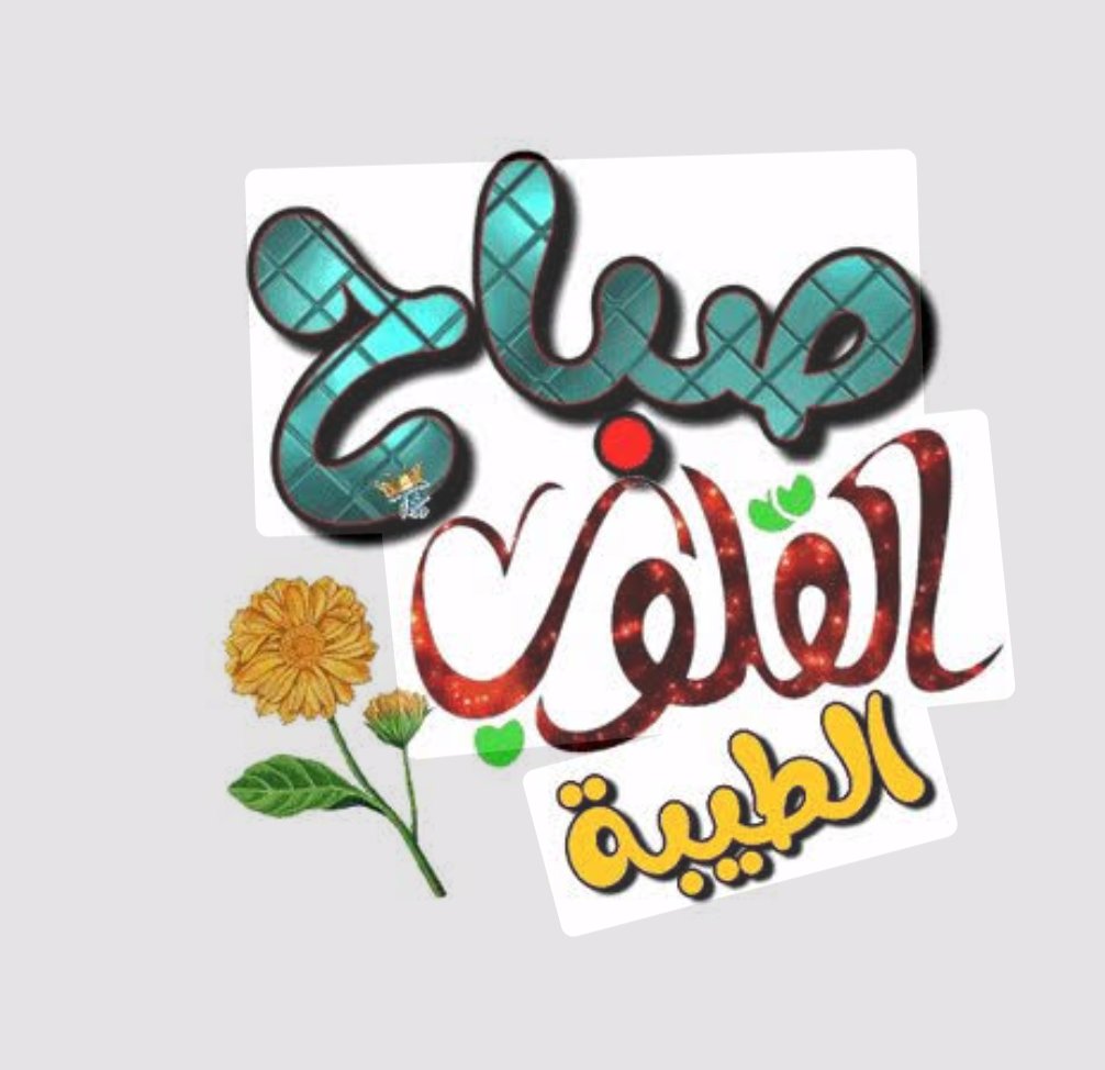 Hanan Soudy tweet media
