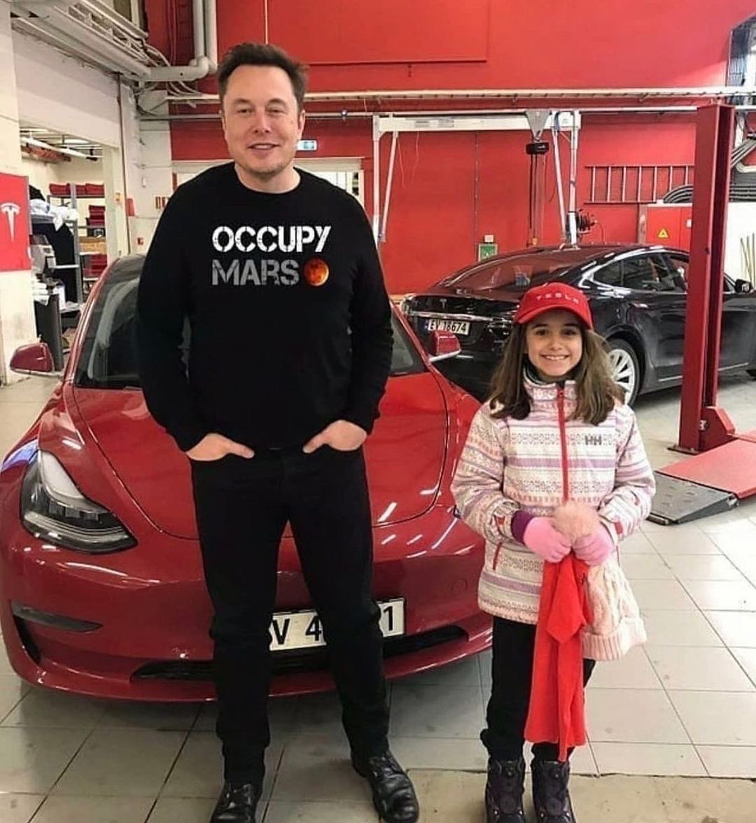 ElonScenario tweet media