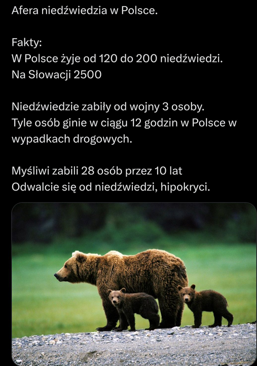 Dariusz Grochal tweet media
