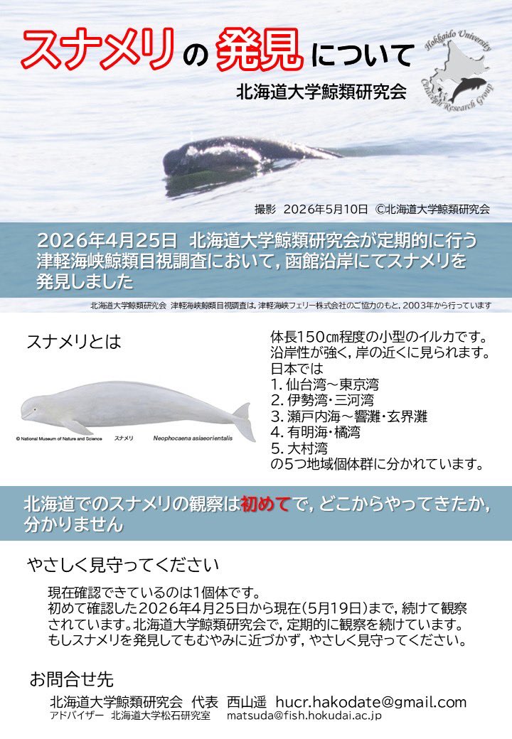 北海道大学鯨類研究会 tweet media