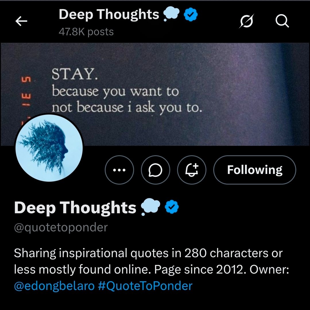 ⊹ ࣪ ˖ N ⁷ tweet media