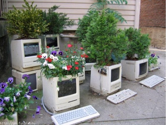 Святоголік tweet media