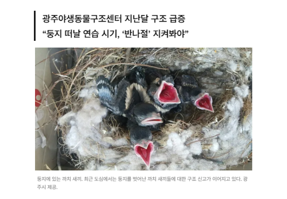동물복지 봇 tweet media