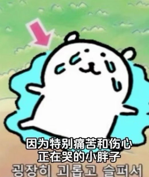纯粹小肥肥 tweet media