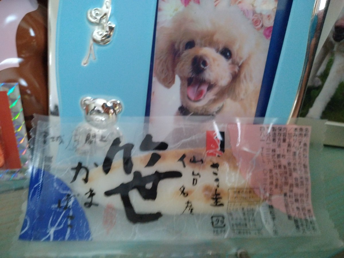 ripayarip's tweet photo. モモさんママから
お土産もらった(⁠.⁠ ⁠❛⁠ ⁠ᴗ⁠ ⁠❛⁠.⁠)
かまぼこ好きだけど
これはブリンブリンしてて
いつも私が食べてるのとは全然違う💦
美味しくて、もぅスーパーのかまぼこ食べられないかも！😂

#笹かまぼこ https://t.co/GJWSb6pIul