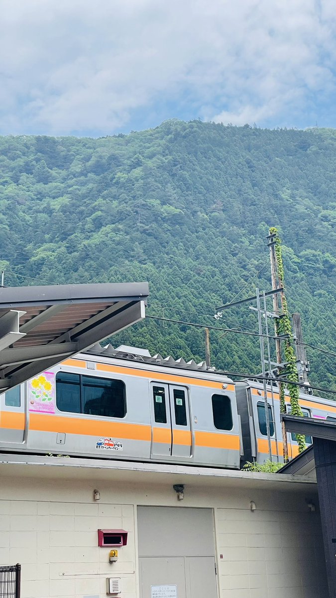 r2605s's tweet photo. 奥多摩 https://t.co/KW6b6Yzthe