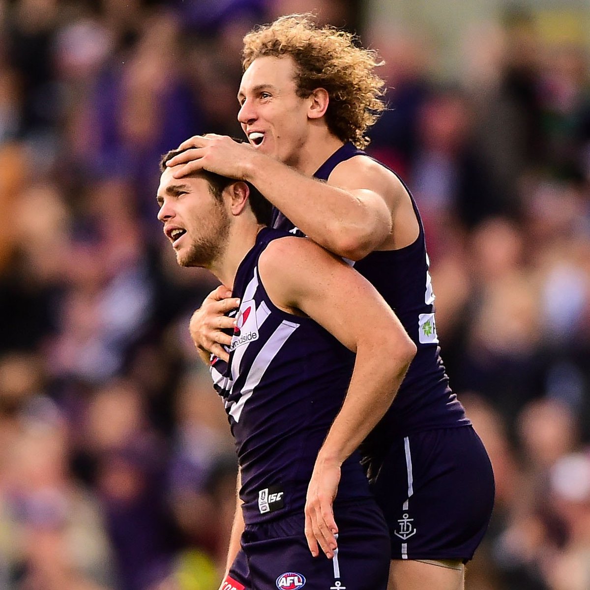 Fremantle Dockers tweet media