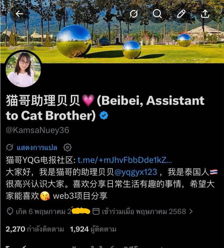 猫哥助理贝贝💗(Beibei, Assistant to Cat Brother) tweet media