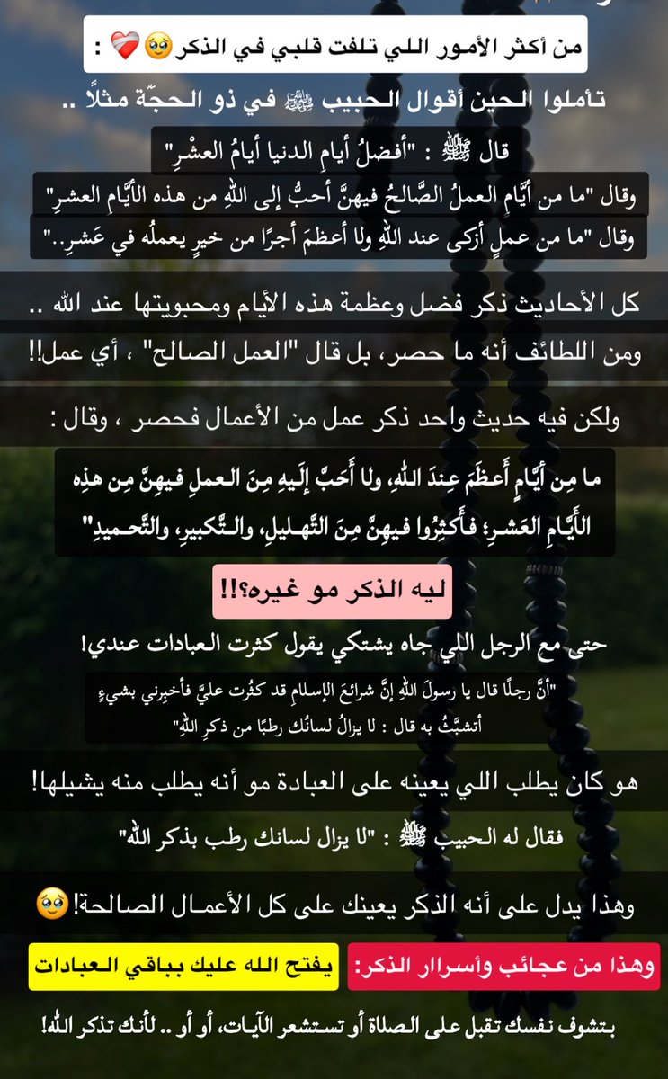 سمر جميل tweet media