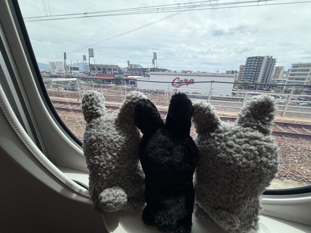楽しくて楽しくてしあわせだったよ広島