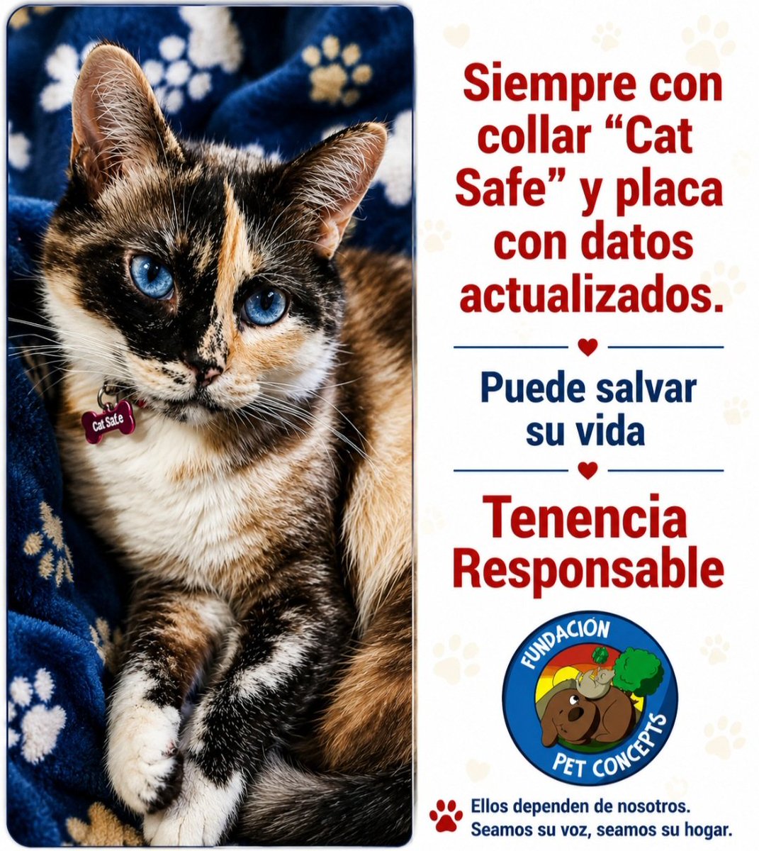 Dcyon's tweet photo. #TeneciaResponsable https://t.co/QDagemTC3b