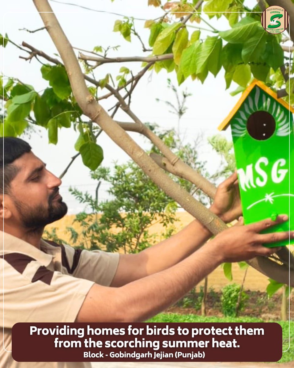 Shah Satnam Ji Green S Welfare Committee tweet media