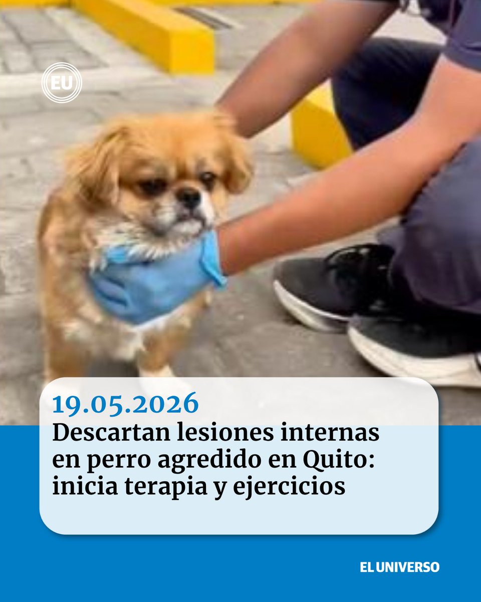 El Universo tweet media