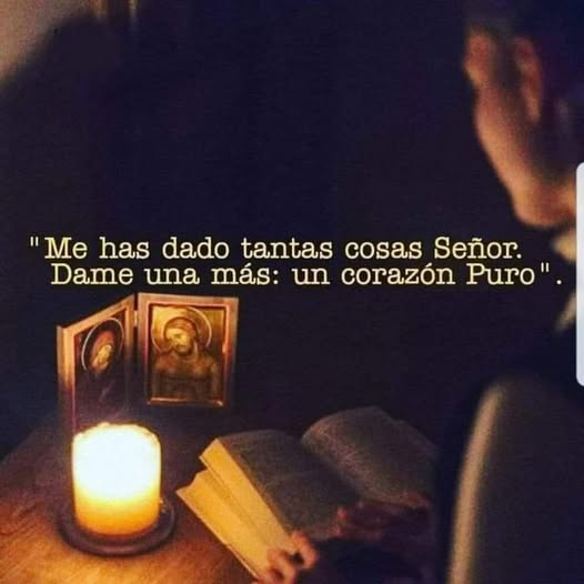 Fe Viva Católica tweet media