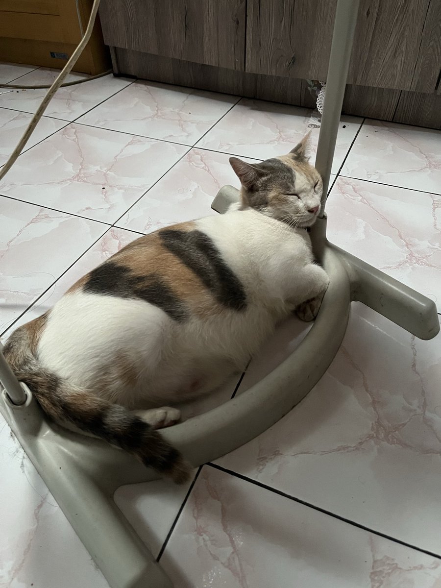 receivve's tweet photo. Ketawa banget, air hangat buat ngompres malah diminum Kumi 🤣😭😭 Mana abis itu langsung molor. https://t.co/SLLqkk3G0j