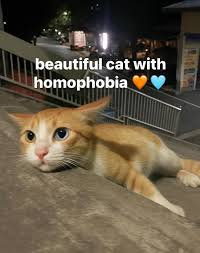 fishy_foshy's tweet photo. @mirukyo_ girl with homophobia in her eyes 😍 https://t.co/582HJa0FZQ