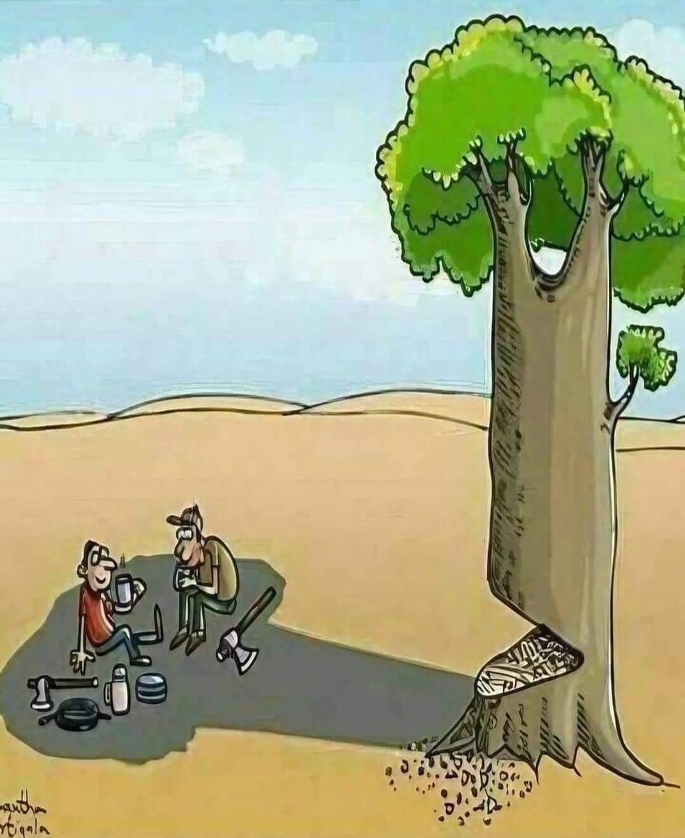 Σ tweet media