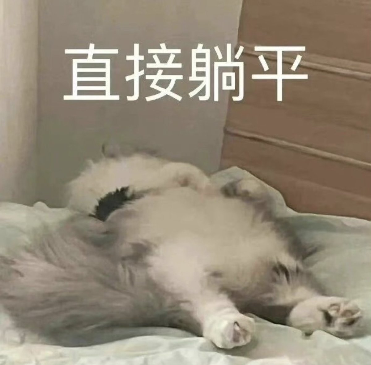 Duku_TwVtype's tweet photo. 大家對於Ai會有焦慮感嗎
我的話有時候也是會有，但是呢 是主要Ai迭代的太快了，我有點跟不太上 https://t.co/lRRx6DcOMz
