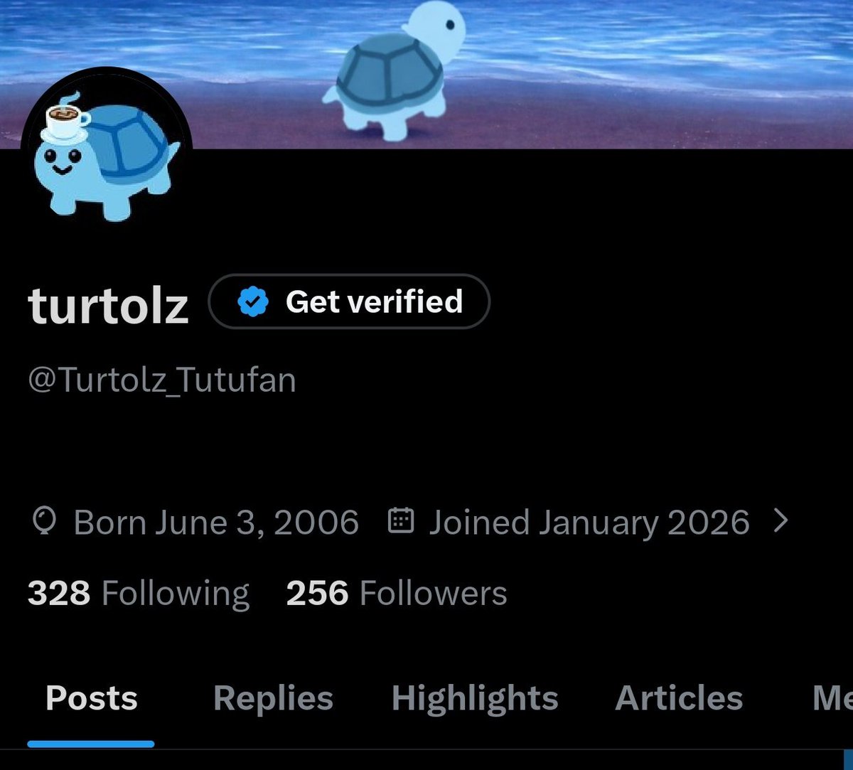 turtolz tweet media