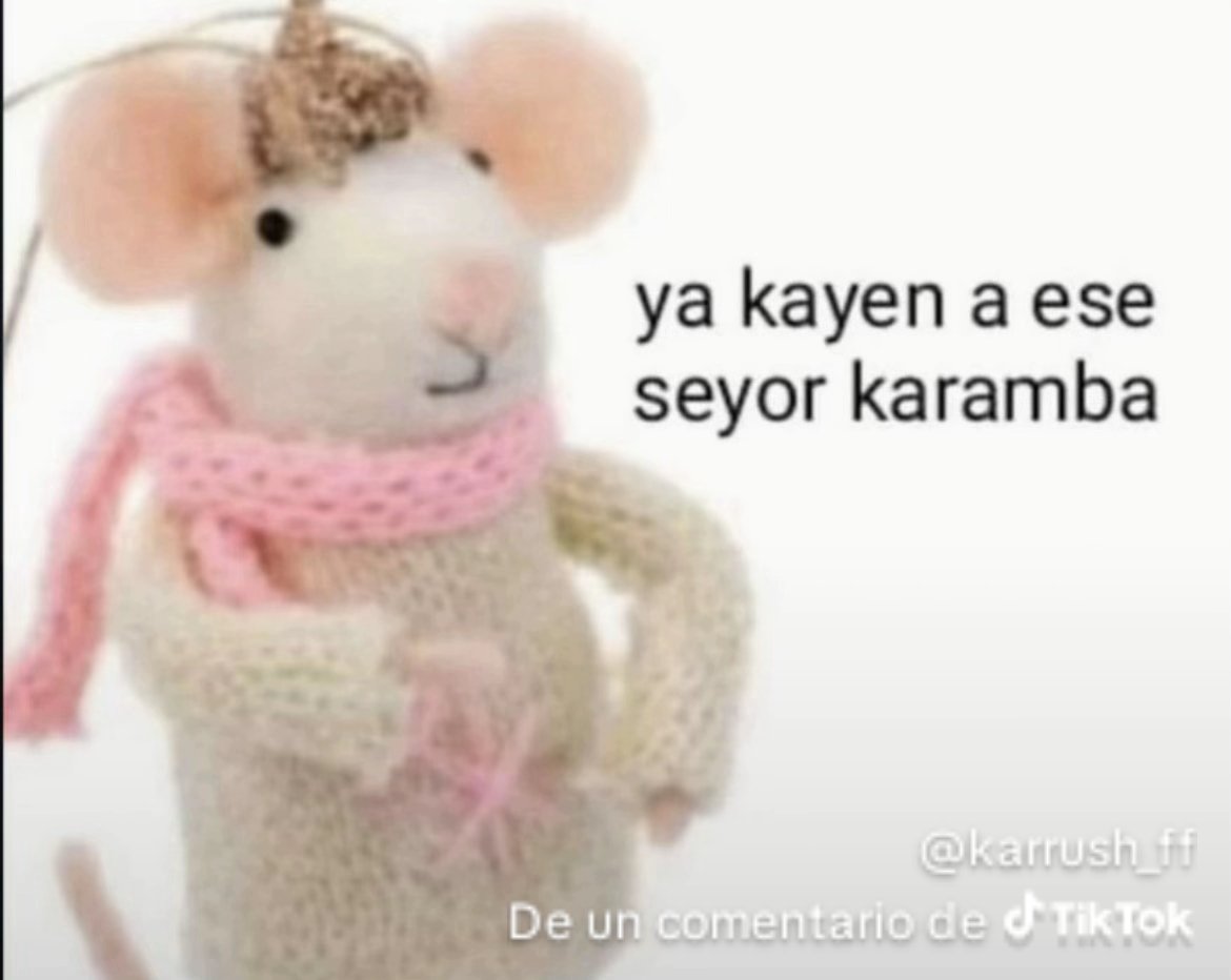 Lucero López tweet media