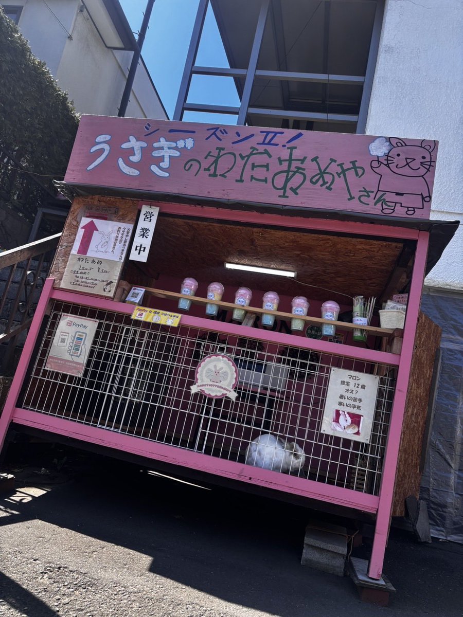 maronn_926's tweet photo. 今日も14時15分まで営業してます！
遊びに来てね！

 #動物
 #PayPay
 #北海道札幌市清田区
 #拡散希望 https://t.co/lxtZhtCaAH