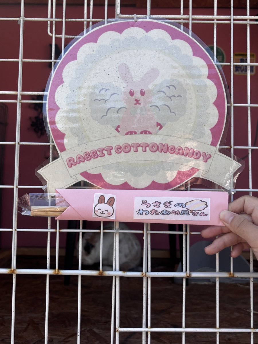 maronn_926's tweet photo. 今日も14時15分まで営業してます！
遊びに来てね！

 #動物
 #PayPay
 #北海道札幌市清田区
 #拡散希望 https://t.co/lxtZhtCaAH
