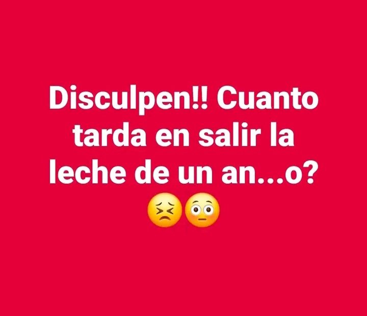CamiIA tweet media