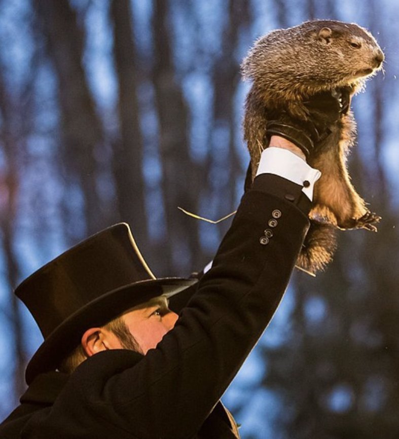 arvoio's tweet photo. Is crypto back?

I think we don't hate it enough yet.

Punksutawney Phil says one more winter https://t.co/3ttJa7Qjog