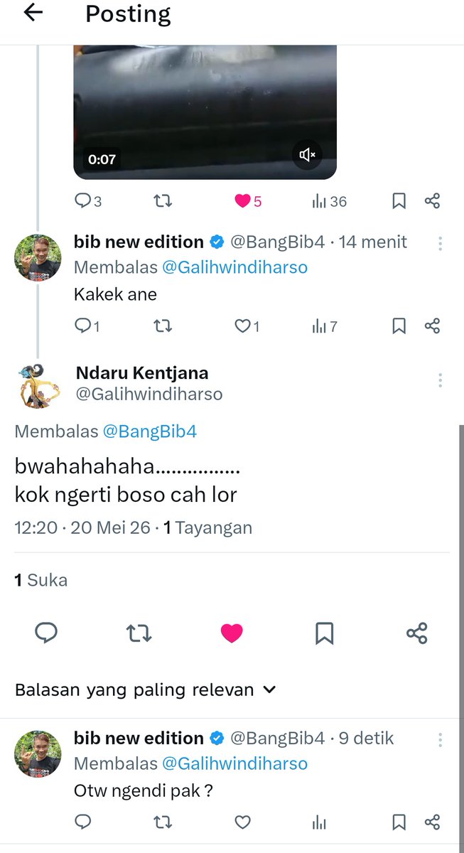 bib new edition tweet media