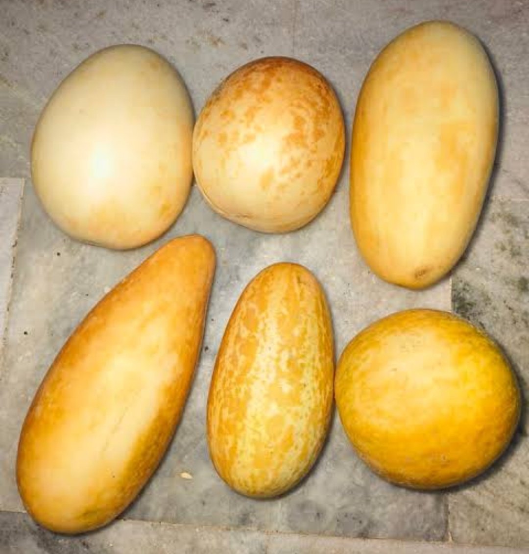 faisalnadim88's tweet photo. لاہور اتے ہی پتہ چلا مارکیٹ میں پھوٹیں(snapmelon) ا گئی ہیں
تو سیدھا 5 کلو لیکر ایا 
اپ لیمن اور چاٹ مصالحہ ڈال کر کھائیں
چس نہ آئے پیسے واپس  
پھوٹیں نمیک ہوتی ہیں اور خربوزہ میٹھا 
لاہور میں رائیونڈ اور بلوکی کے پاس بہت کھیت ہیں
#Snapmelon 
#watermelon https://t.co/GRbL7q6DrP