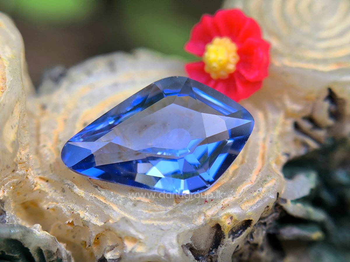 DanuGroup's tweet photo. Ceylon Natural Blue Sapphire

view product - https://t.co/m32d8uVKjL

#naturalbluesapphire #gemstones #gemstonedelar #gemcutter #gemstoneforsale #Gemini #fashion #NaturalBeauty #bluesapphire #jewlery #ringdesign https://t.co/qntGf2YIJK