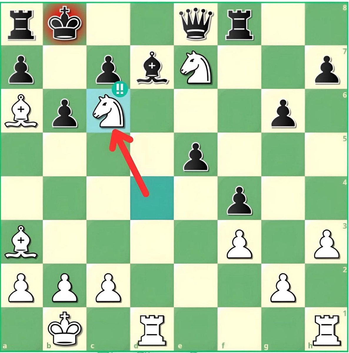 Chess Master tweet media