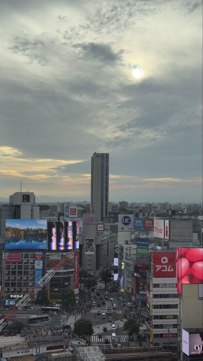 MatuiToshiaki's tweet photo. 今日は渋谷で5時🏢
夕暮れが綺麗でした✨ https://t.co/sYOeiVo2PH