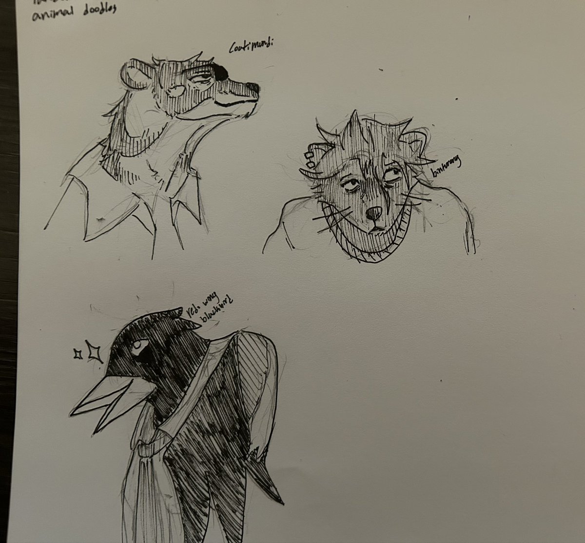 Tator_Goat's tweet photo. Doodlin some bullshit tonight https://t.co/yUGMd8uAKi