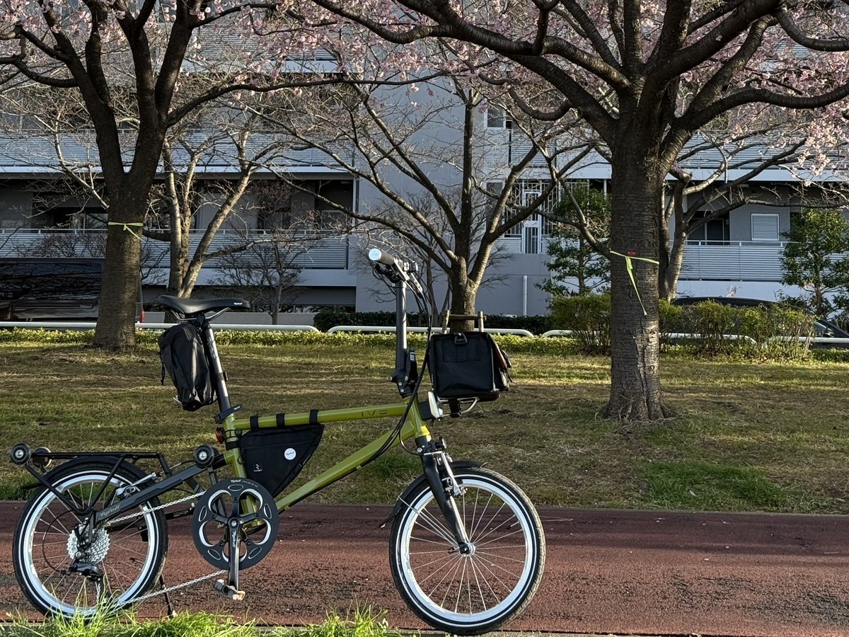 LIFE with BICYCLE tweet media