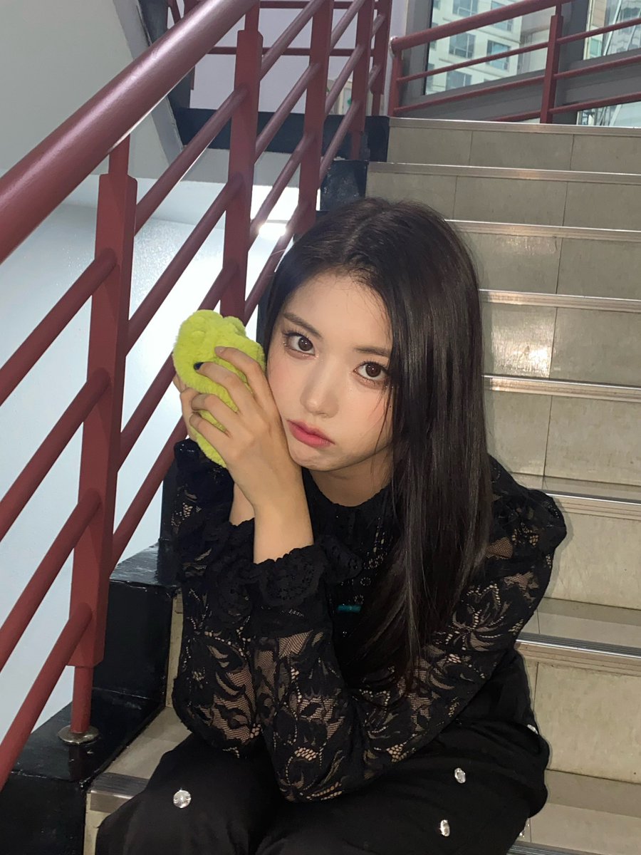 강고 tweet media