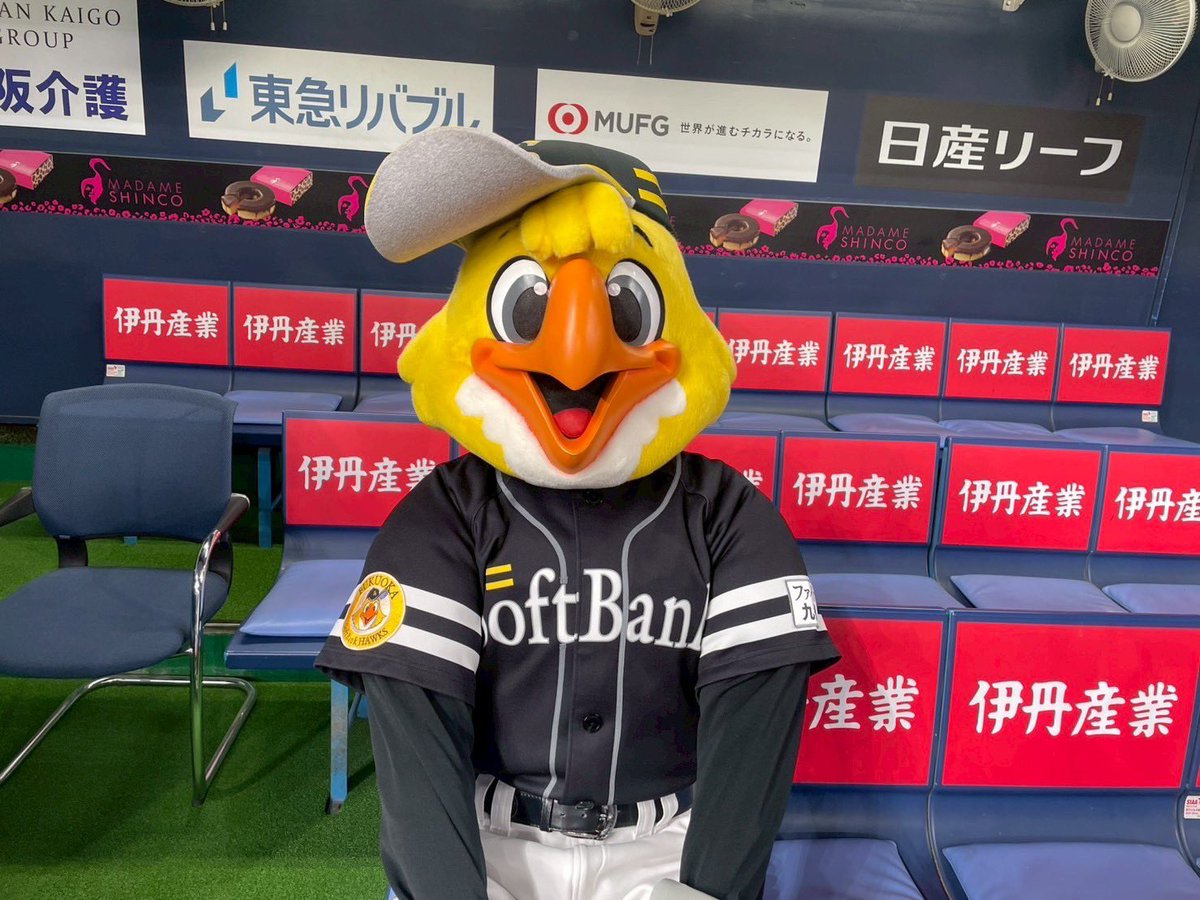 ハリーホーク（公式） (@hawksHarry) / Posts / X