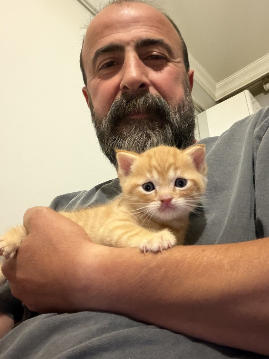 Özgür Aybaş tweet media