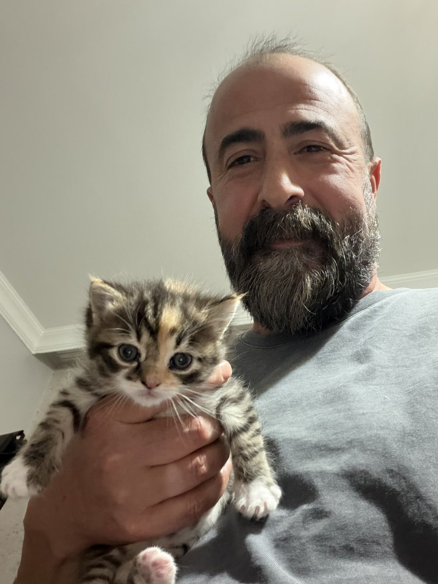 Özgür Aybaş tweet media