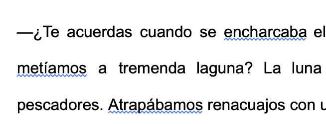 edgarmt's tweet photo. ¿Por qué google docs suele marcar como error el pretérito imperfecto del modo indicativo? 

¿Cómo le hacíamos mi concentración y yo para no distraernos con mensadas? https://t.co/0TrHacLpwO