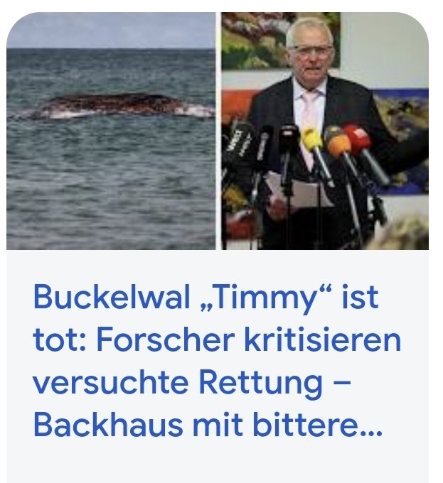 Stadtvermieter 🏘️ tweet media