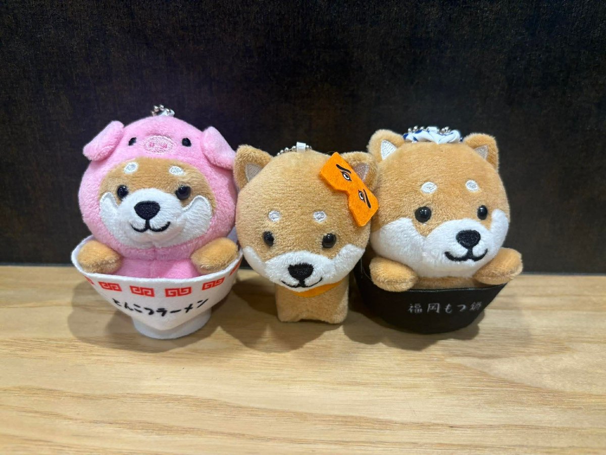 ✨しろテラス おすすめ商品✨ ころんと可愛い柴犬キーホルダー