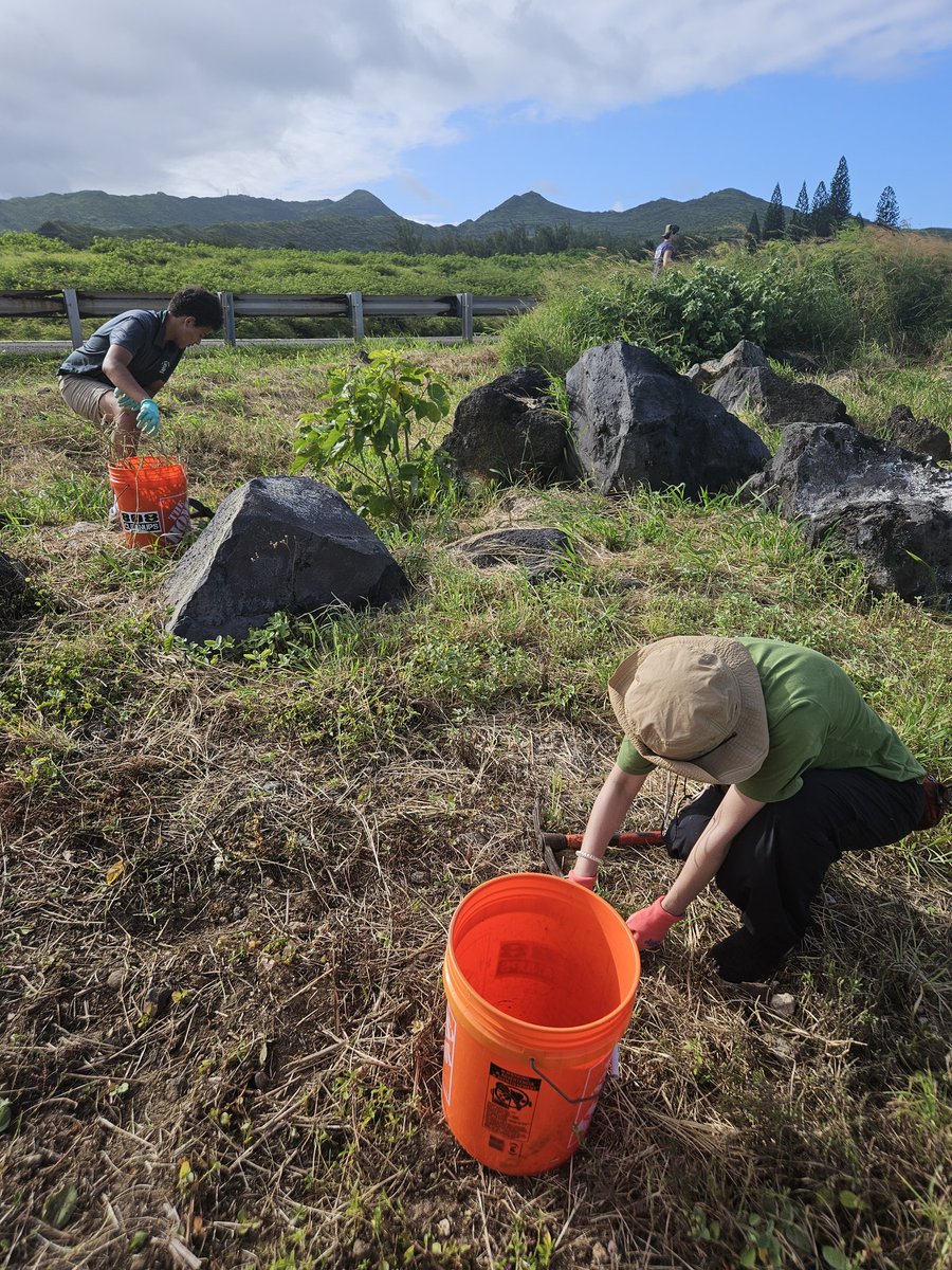808cleanups tweet media
