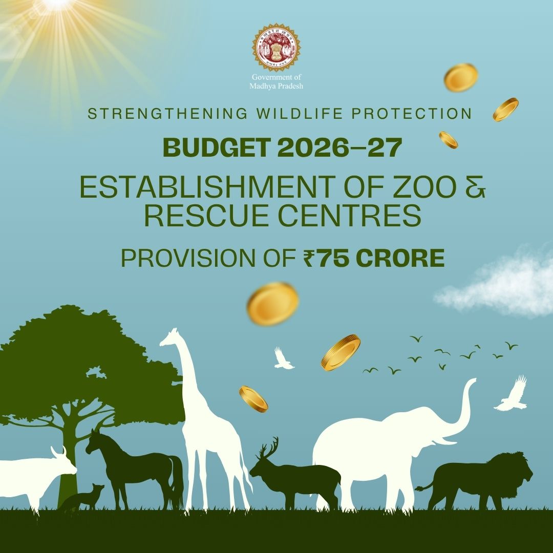 Finance Department, MP tweet media