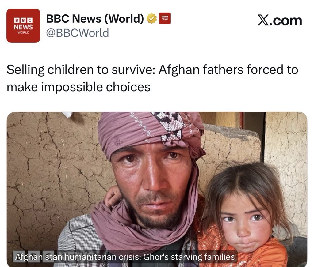 Claire Adams tweet media