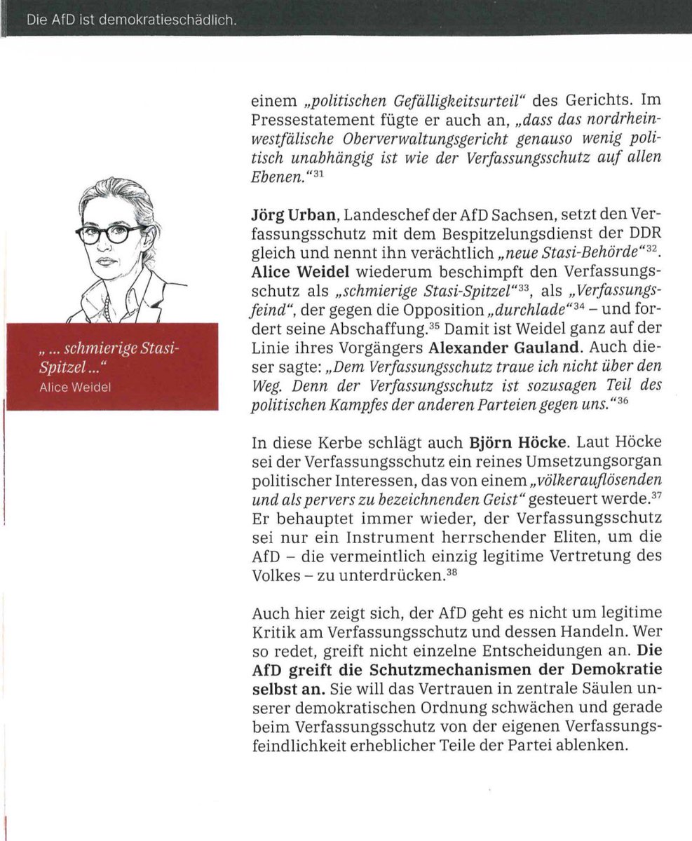 Beatrice Achterberg tweet media