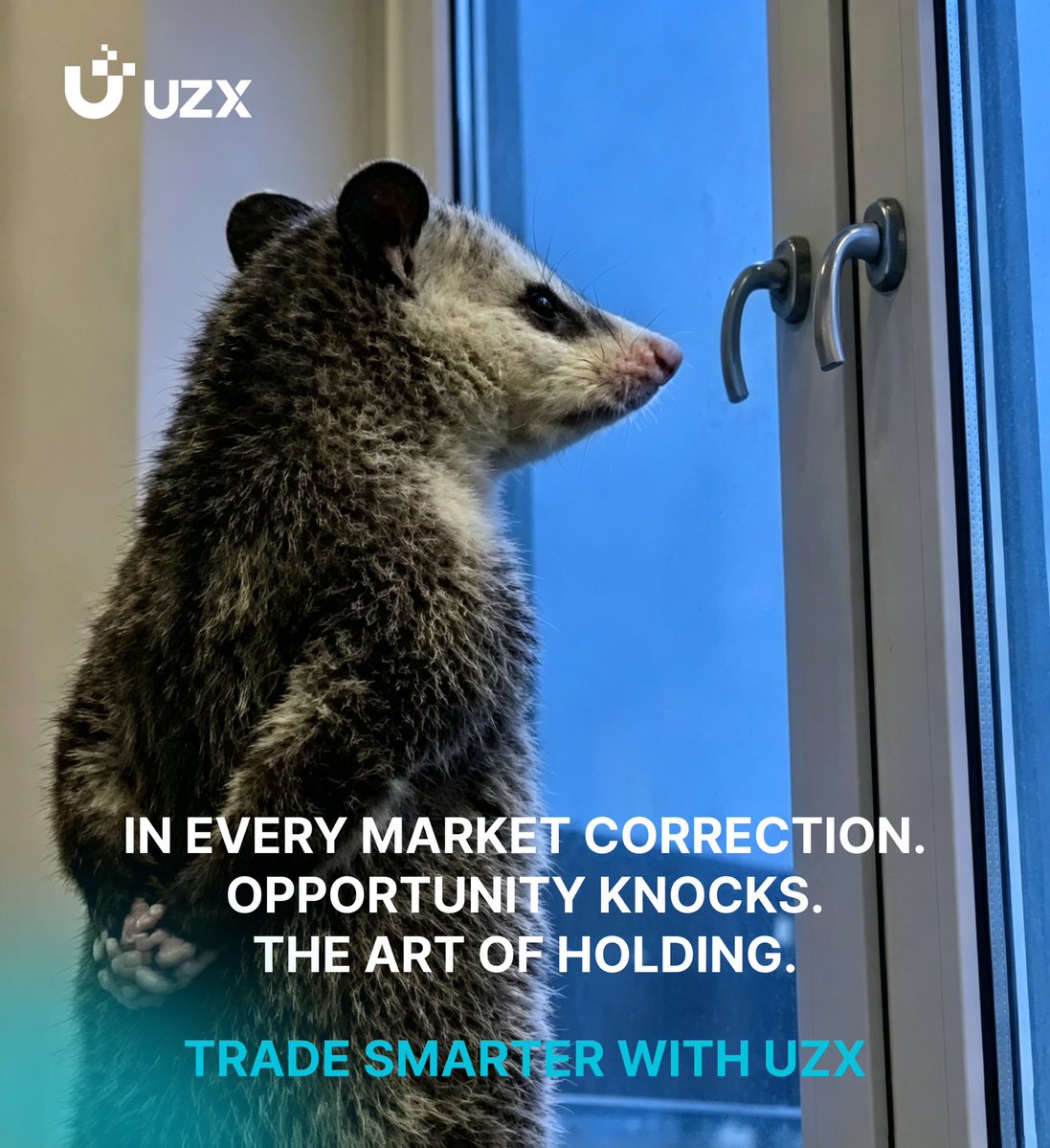UZX Official tweet media