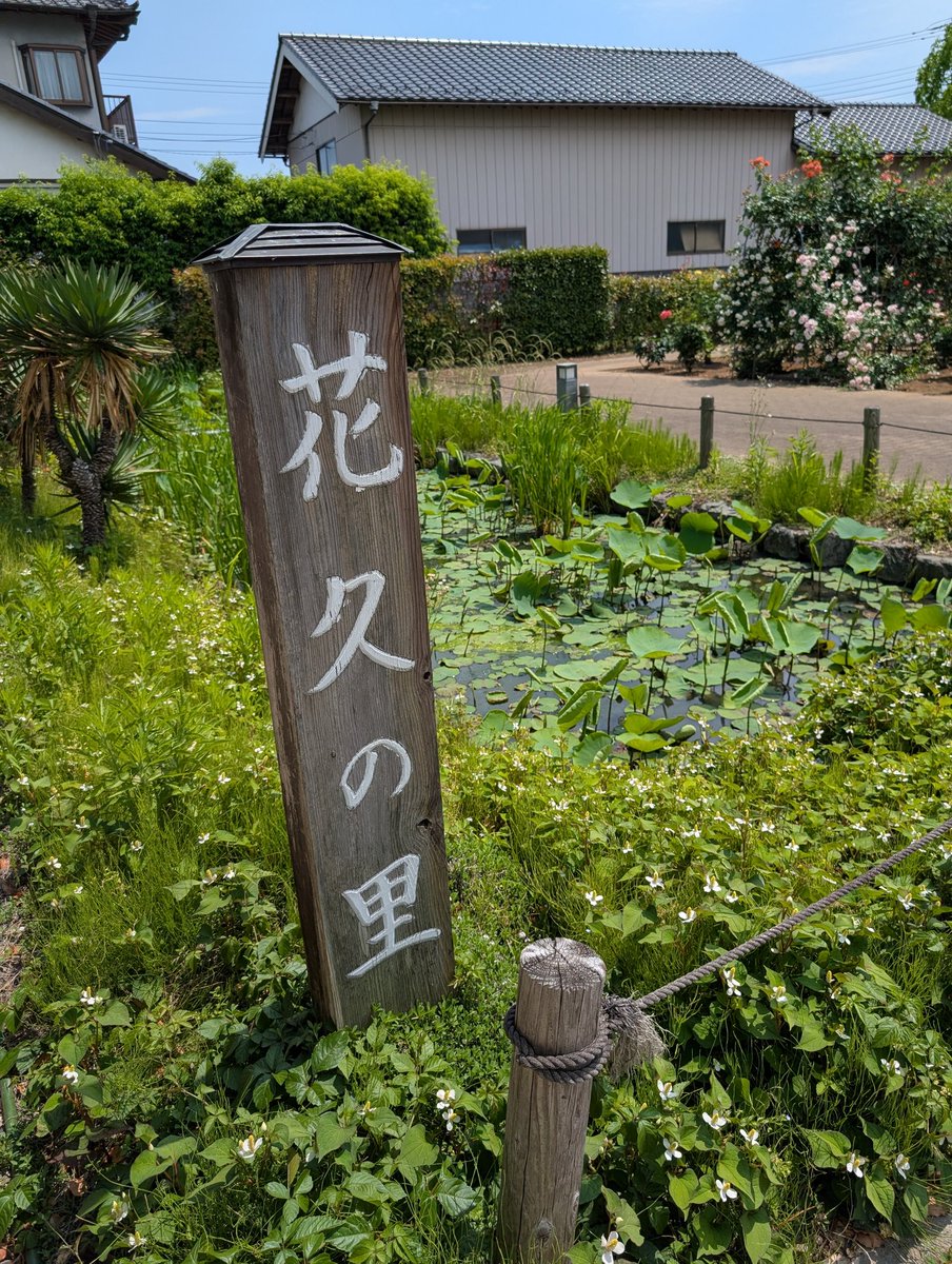 英理@無事 tweet media