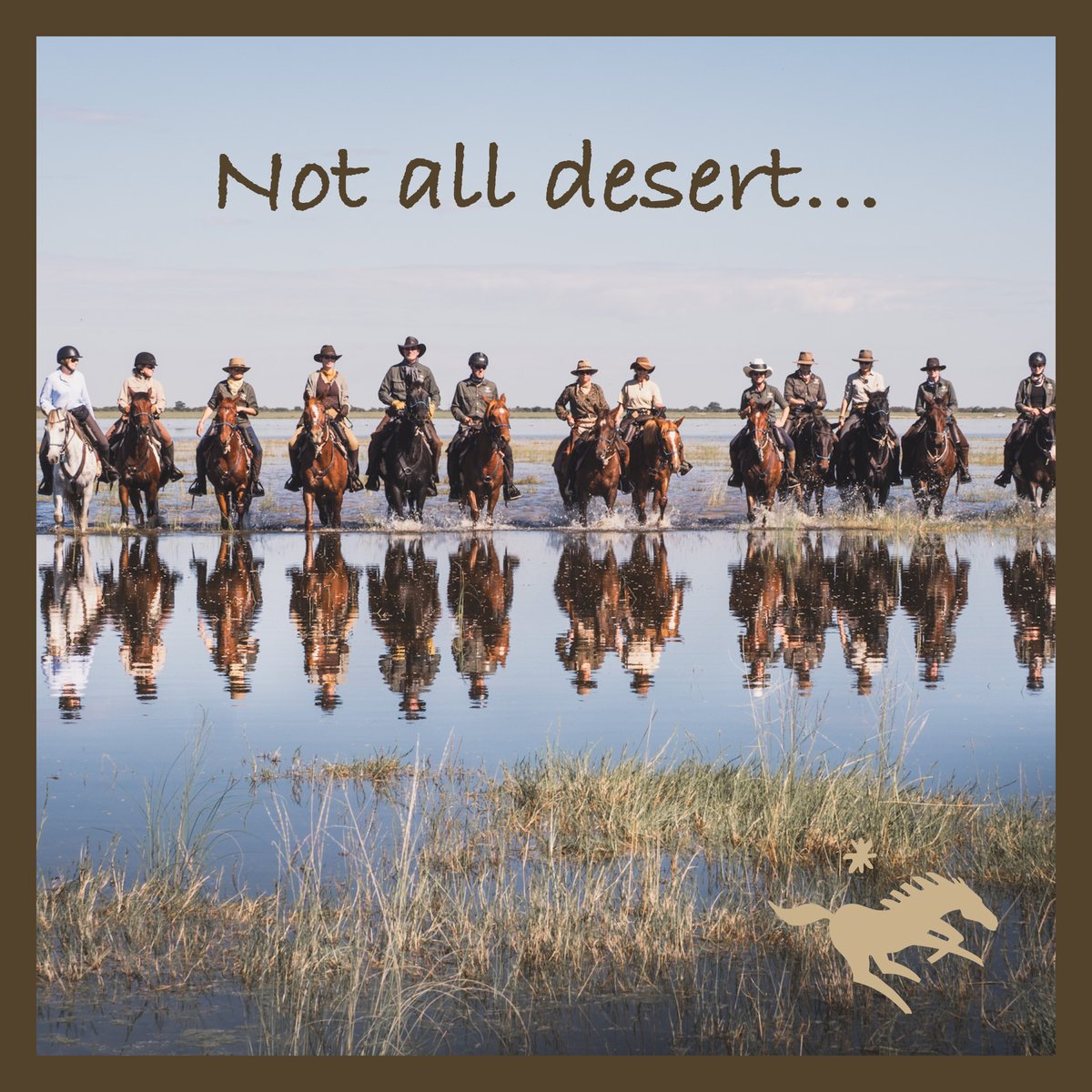ridingsafari's tweet photo. The many faces of Namibian #landscapes - Exploratory #safaris are always somewhere very different, always an #adventure of note, and never disappoints...
On #Safari in #Namibia with #Horses https://t.co/HyAqT9pXDL